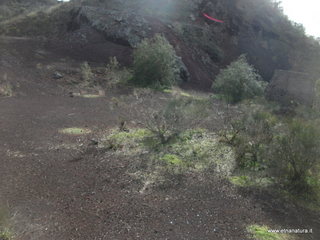 Monte Rosso